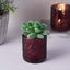 6-Pack Mercury Glass Candle Holders Burgundy Palm Leaf Design - Votive Tealight Holders for Events