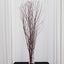 6-Pack Natural Birch Tree Branches 46" Natural - Versatile Extra Long Decorative Dried Willow Twigs Sticks for Vase Centerpiece Wedding Decor