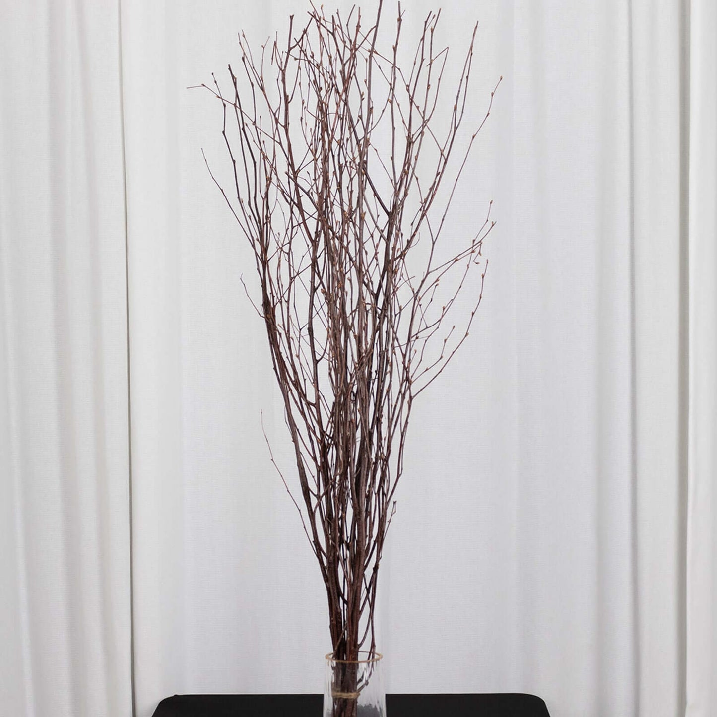 6-Pack Natural Birch Tree Branches 46" Natural - Versatile Extra Long Decorative Dried Willow Twigs Sticks for Vase Centerpiece Wedding Decor