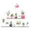 Succulent Potted Plants on Shelf Wall Decals, Peel and Stick Decor Stickers