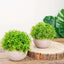 2 Plant Set Artificial Boxwood Topiary Ball 5" - Maintenance Free Mini Faux Potted Greenery Decor
