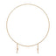 6.5ft Gold Metal Circle Wedding Arch Stand, Floral Balloon Garland Hoop, Round Backdrop Frame