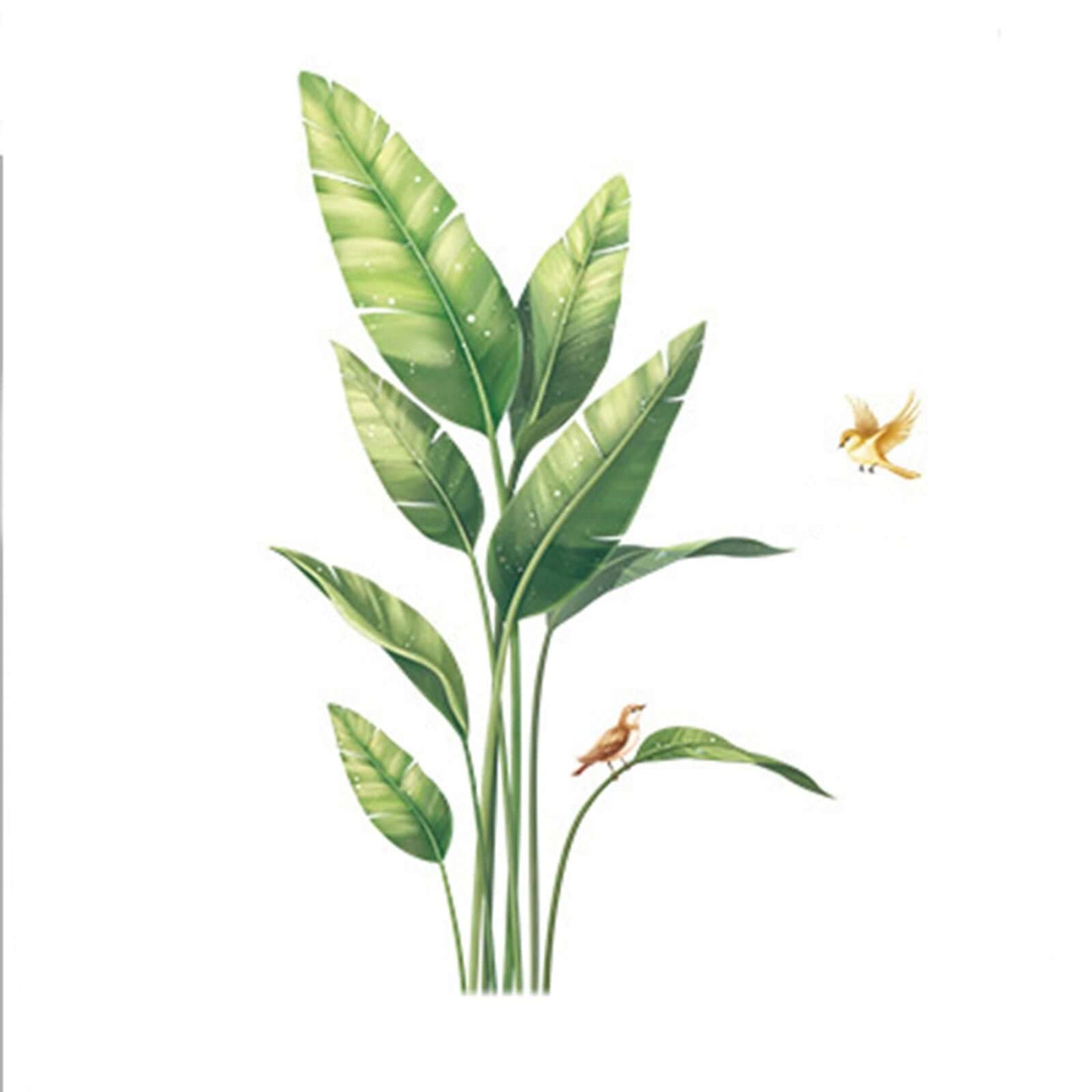 Bird of Paradise Tropical Plant Wall Decal, Peel and Stick Removable Stickers