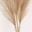 3 Stems Artificial Pampas Grass Decor Taupe - Soft Realistic Faux Ornamental Grass Branches for Rustic Boho Chic Backdrops Floral Styling & Vase Displays 44"