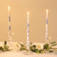 12 Pack 10" French Toile Wax Taper Candles White and Blue Unscented Candles