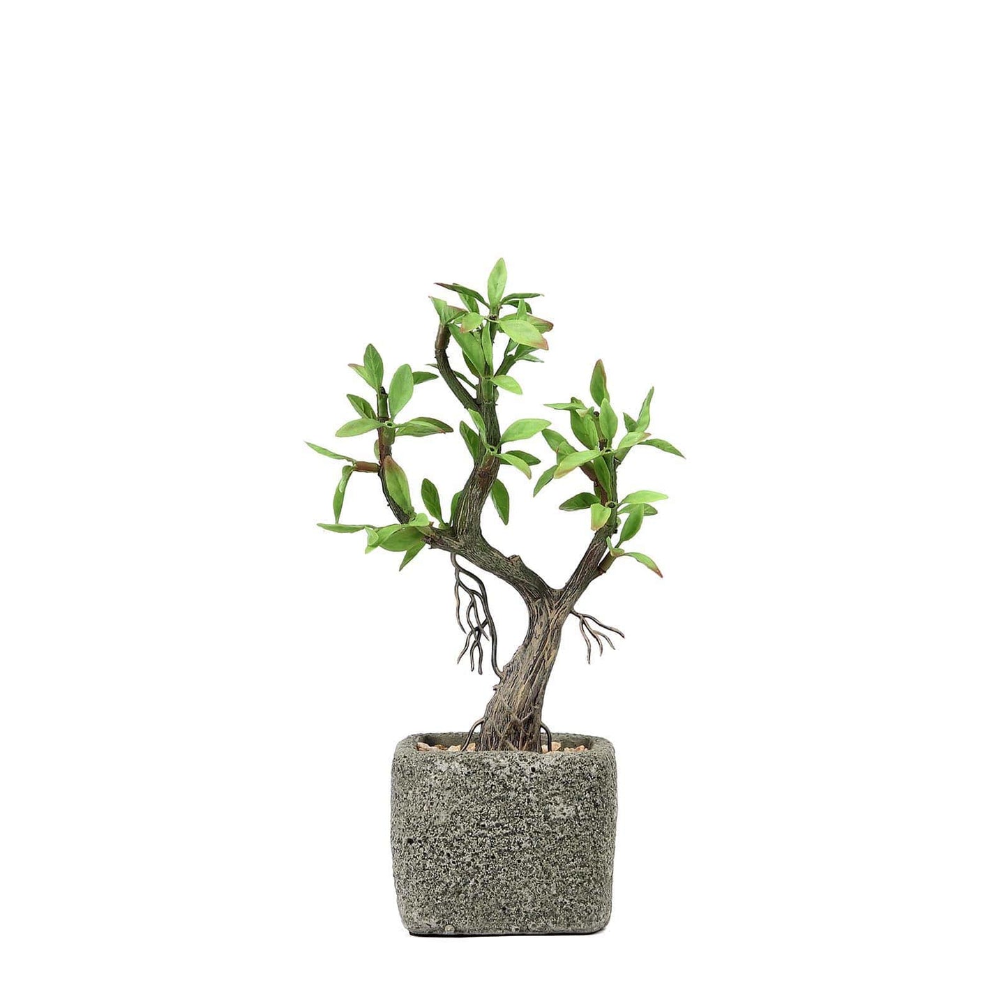 Willow Tree Artificial Succulents in Concrete Pot - Lifelike Decorative Faux Plants for Home Office & Event Design 9" - Linen Luxes